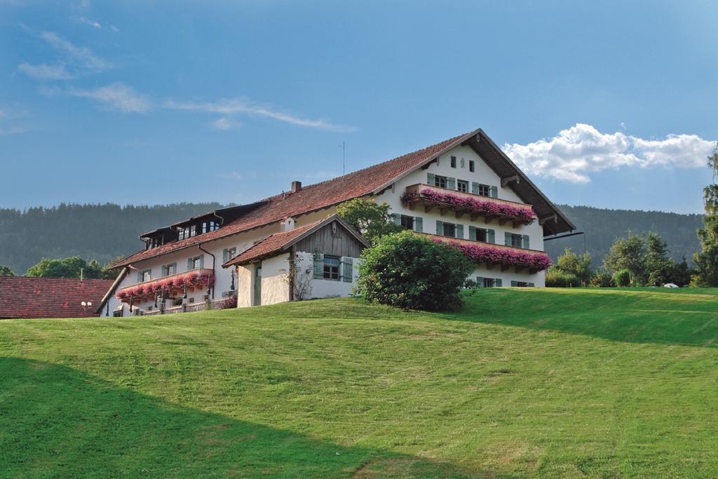 Wild-Berghof Buchet Hotel Бернрид Екстериор снимка
