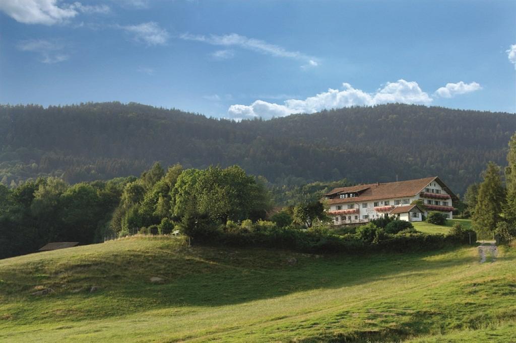 Wild-Berghof Buchet Hotel Бернрид Екстериор снимка